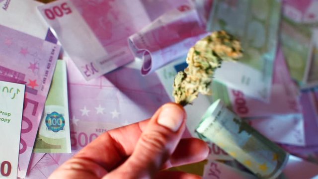 Closeup of cannabis in the hands of a seller of medical marijuana. 