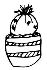 cactus peyote, plant in pot, abstract drawing with ink. Print with exotic plant.Hand drawn illustration.