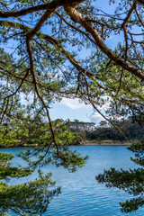 Pine trees and blue water at Fukuurajima Island near Matsushimakaigan in Japan