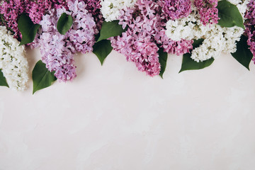 Floral pattern of a branch of lilac on a trendy stone pink background. Top view. Flat lay. Spring concept. Copy space