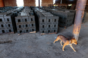 Production of clay bricks at a brick factory. Molded bricks stacked on pallets are dried before...