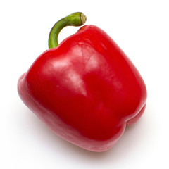 One bright red raw bell pepper with green tail on a white isolated background close-up