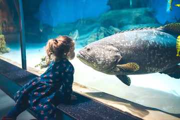 Child watching fish through the glass in a Oceanarium.