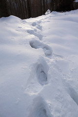 Fototapeta na wymiar Human footprints in the snow