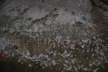 Texture of stone. The rocks are the deepest in Ukraine. Pattern of nature.