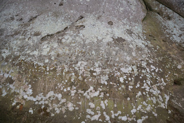 Texture of stone. The rocks are the deepest in Ukraine. Pattern of nature.