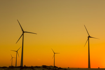 wind turbines at sunset / PARQUE EÓLICO NOVA TRAMANDAÍ RIO GRANDE DO SUL © Galileu