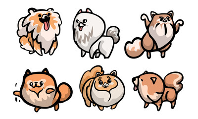 Set of cute spitz dog characters in different actions. Vector illustration in flat cartoon style.