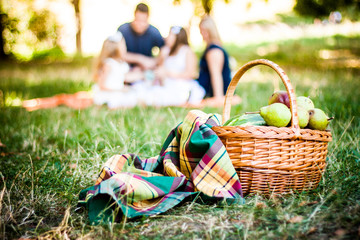 Picnic Basket With Blanket and Pears On The Grass. On Front Of The Family In Bokeh