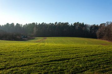 Belarus. The surroundings of Grodno. Hilly fields in green grass in very early spring and village houses in a lowland surrounded by trees.