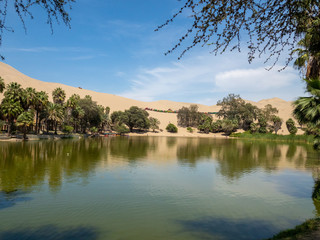 Lake view at huacachina oasis, buggies parked on sand dunes in the background, palm trees around the lake surrounded by the desert