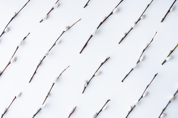 Flat lay with catkins and willow twigs © oleksii.leonov