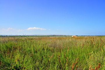 panoramic view of some corners of Sicily. Vendicari natural reserve