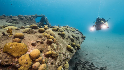 Diver and ship wreck 