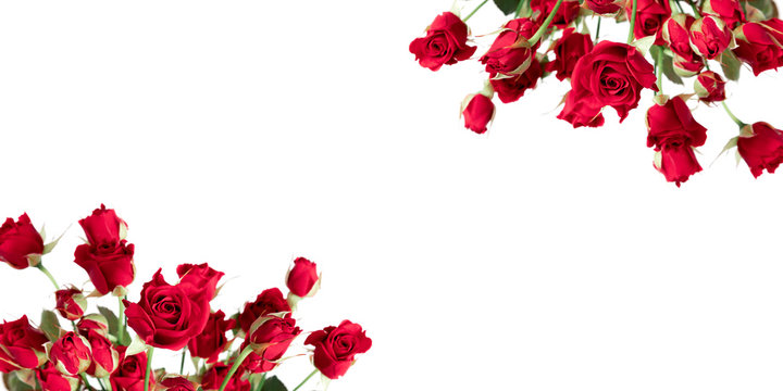 Red Roses Border Images – Browse 99,777 Stock Photos, Vectors, and Video |  Adobe Stock
