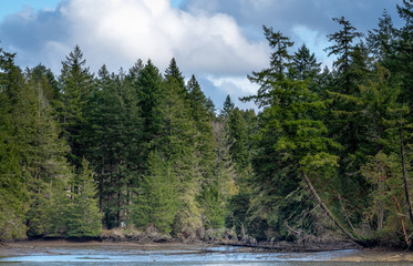 Eld Inlet Along Puget Sound, Olympia, Washington