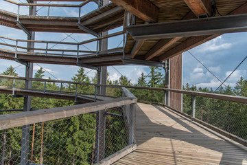 Treetop Walkway lignting, Sightseeing trail in tree crowns.