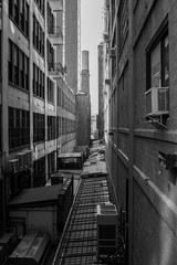 through the alleyways behind buildings