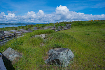 Rocks, Green Grass and Wooden Fence
