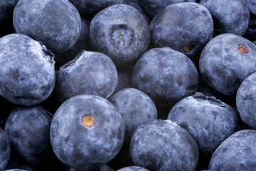 Pile of Blueberries Close Up View