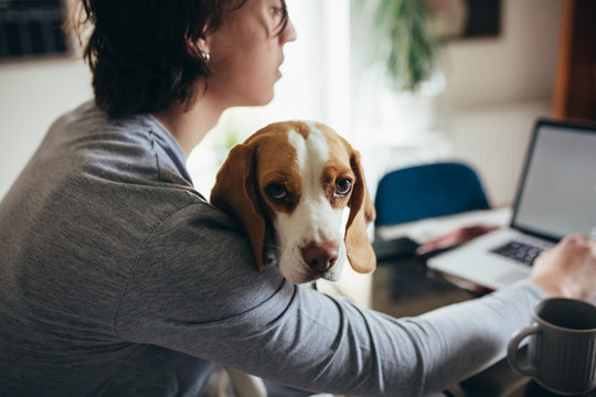 Young Man Holding His Dog In Nap While Using Laptop In Kitchen