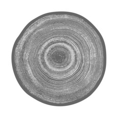 Light gray wood texture stamp. Detailed tree ring design. Rough organic tree rings with close up of end grain.