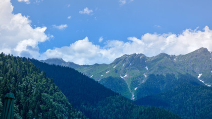 blue zero rice in the mountains of Abkhazia