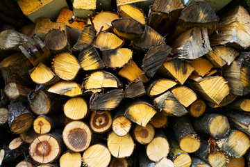 A pile of stacked firewood. Deforestation background