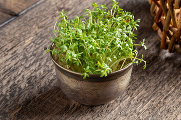 Fresh garden cress in a bowl on a table