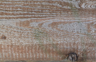 Fototapeta na wymiar Wood shavings board texture rural background