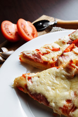 Pepperoni pizza with cheese