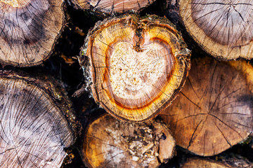 Naklejka premium A pile of stacked firewood. Deforestation background