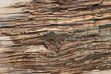  Wood shavings board texture rural background