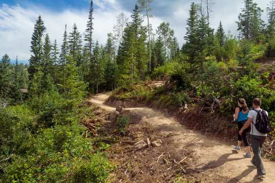 Man And Woman Hiking Mt Werner In Steamboat Springs In The Summer