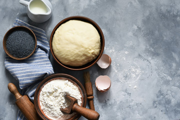Obraz na płótnie Canvas Ingridintny for baking: dough, flour, milk. Cooking process.