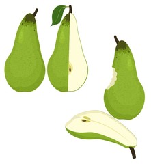 Pears vector illustration isolated on white background.