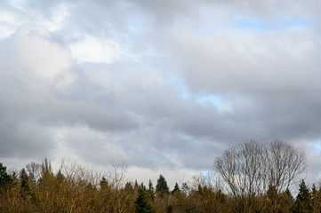 Obraz premium Late afternoon blue sky with white and gray clouds, above a tree covered hillside, as a nature background