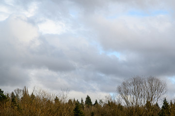 Late afternoon blue sky with white and gray clouds, above a tree covered hillside, as a nature background