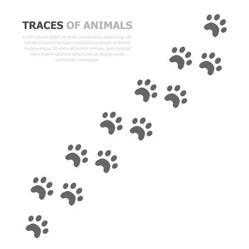 Animal traces are depicted on a white background and the text on the left is written.