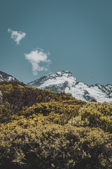 Fototapeta premium BEAUTIFUL NEW ZEALAND'S LANDSCAPE WITH NATURE AROUND