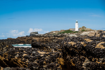 Godrevy Lighthouse in Cornwall