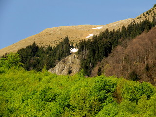 Fototapeta premium Mountain summer