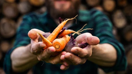 Keuken spatwand met foto Carrots and beets in the man farmer hands in a green plaid shirt © v_sot