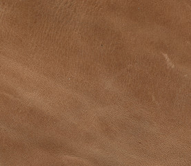 photo skin texture brown shade