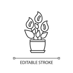 Peace lily pixel perfect linear icon. Spathiphyllum wallisii. Floweing plant. Plant with flowers. Thin line customizable illustration. Contour symbol. Vector isolated outline drawing. Editable stroke