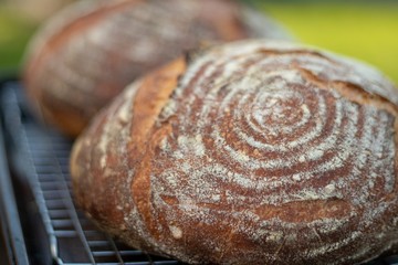 artisanal bread sourdough