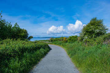 Path Along the Salish Sea