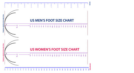 set of shoes chart size or socks chart size or measurement foot chart concept. Eps 10 vector, easy to modify 