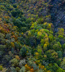 Forest in autumn in the Monastery of Valvanera, La Rioja, Spain, Europe