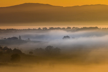 Morgennebel in der Toscana